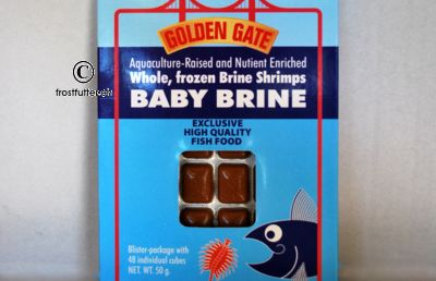 Artemia Salina amerikanische Ware / Baby 50g